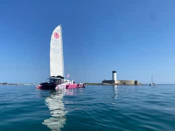 Journée en Catamaran vers l'Ile de Hoëdic depuis Port-Blanc
