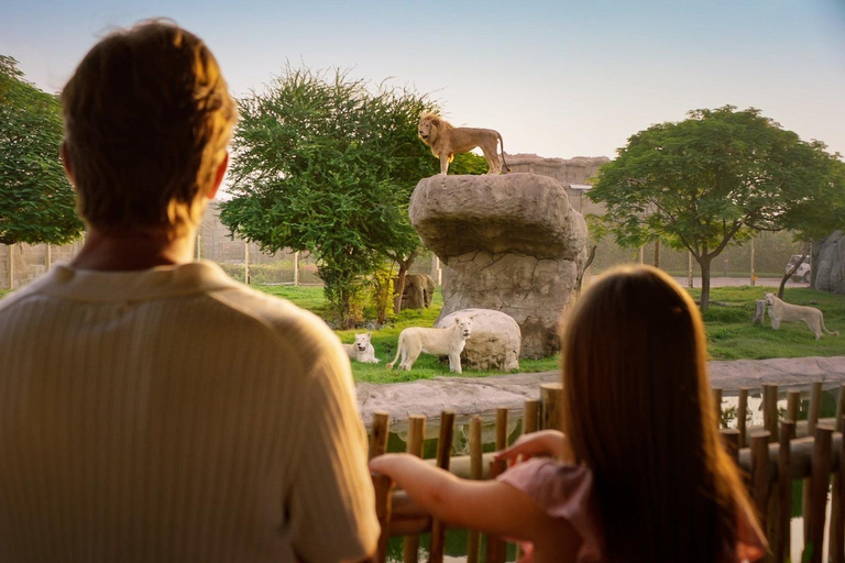 Dubai: Dubai Safari Park Entry Pass Safari Park Pass with Train and Explorer Safari Tour