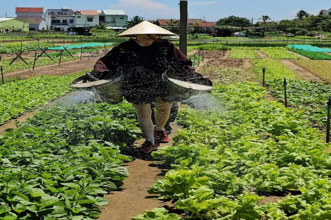 Agricultura - Mercado local - Aula de culinária em Tra Que Vegetable