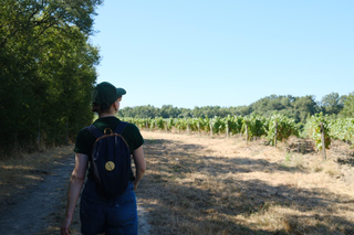 Educatieve wandeltocht en proeverij in de wijngaard van Anjou