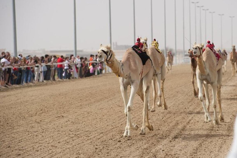 From Doha: Full-Day Tour to Qatar North and West From Doha: Full-Day Tour to Qatar North and West