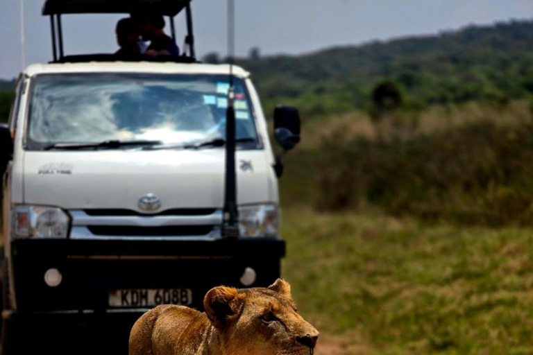 Nairobi: passeio de meio dia no Parque NacionalNairobi: tour privado de meio dia no Parque Nacional