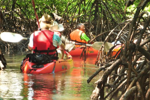 Ko Lanta: Halve Dag Tour EXPLORE MANGROVE per KAYAKING Tour