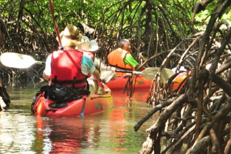 Ko Lanta: Halvdagsutflykt EXPLORE MANGROVE med KAYAKING Tour