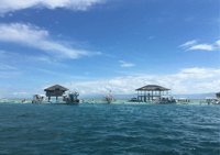Bacolod Manjuyod Tour (Private Tour) - Housity