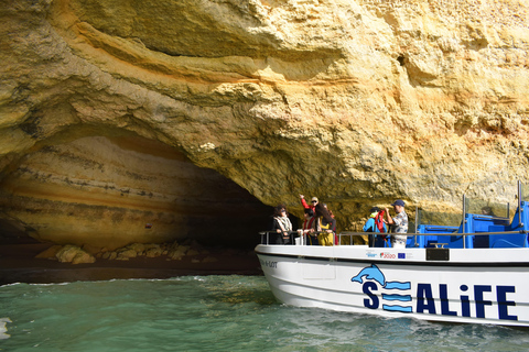 Ab Lagos: Benagil-Höhle und Küstenrundfahrt mit dem Katamaran