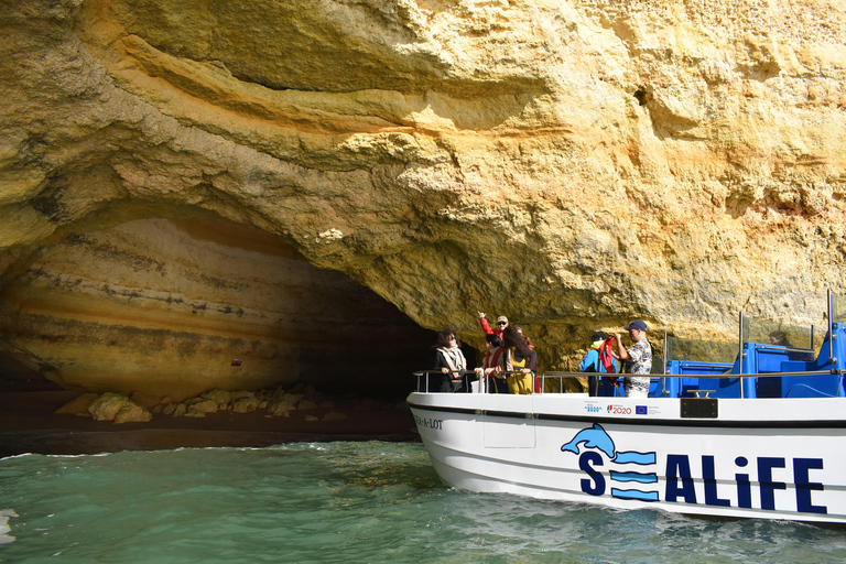 Ab Lagos: Benagil-Höhle und Küstenrundfahrt mit dem Katamaran