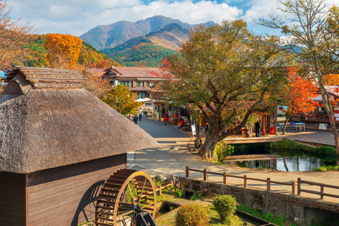 From Tokyo: Mount Fuji and Hakone Private Customizable Trip From Tokyo: Mount Fuji and Hakone Full Customizable Trip