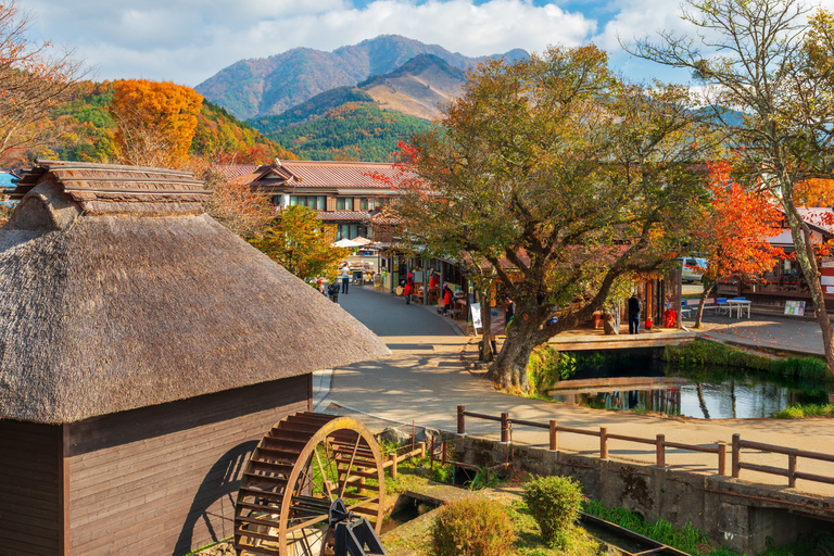 From Tokyo: Mount Fuji and Hakone Private Customizable Trip From Tokyo: Mount Fuji and Hakone Full Customizable Trip