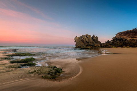 Melbourne: Excursão de um dia à Great Ocean Road com cangurus e coalas