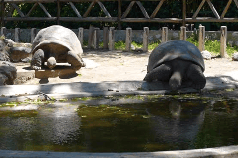 Quito: Zoo Tour with Transportation and Admission or Ticket