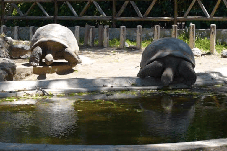 Quito: Zoo Tour with Transportation and Admission or Ticket