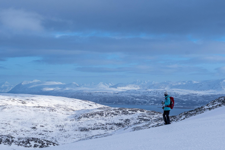 From Tromsø: Snowshoe Hike with Local Guides