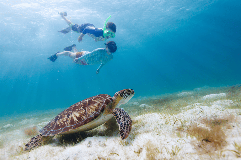 Nusa Penida: Manta Snorkeling Tour with free GoPro & Guide Private Manta Bay Snorkeling & West island trip with lunch