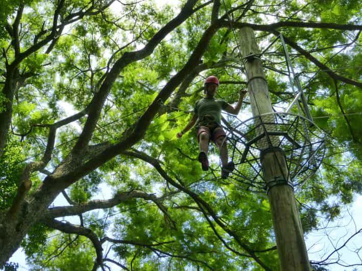 Zip Line Rio Zip Lining and Canopy Tree Tour in Rio de Janeiro | GetYourGuide