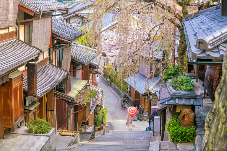 3 jours de visite privée d'Osaka, Kyoto et Nara avec chauffeur anglais