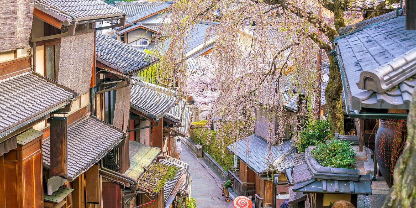 Kyoto:Private Guided Tour on Luxury Vehicle with photography