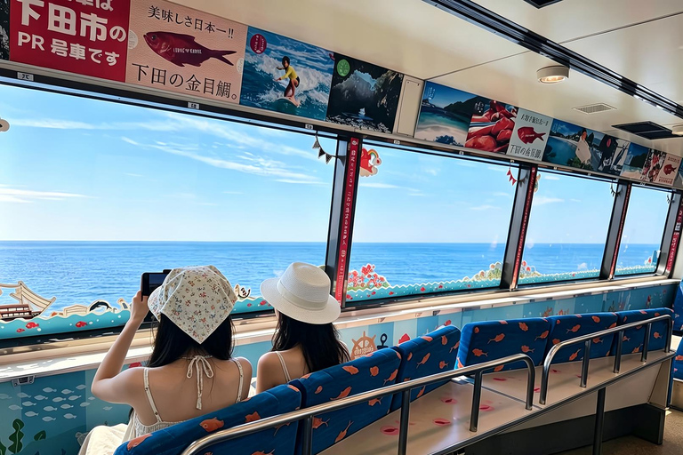 Small Group Day Tour:Omuro Mountain & the Izu Scenic Railway Hotel Transfer Option