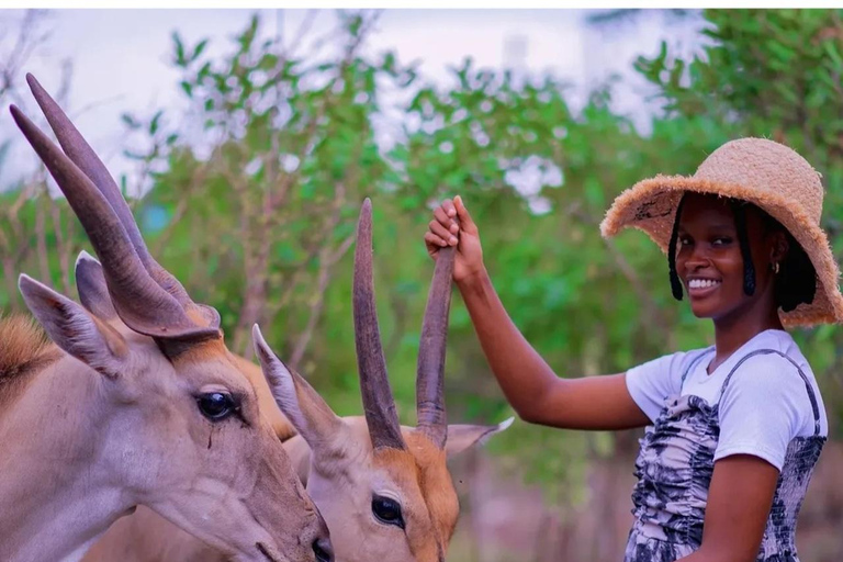 ZANZIBAR: Zakir Wildlife Park Feeding Giraffes, Zebra & More THIS OPTION FOR GUESTS STAYING FAR FROM SOUTH COAST AREAS