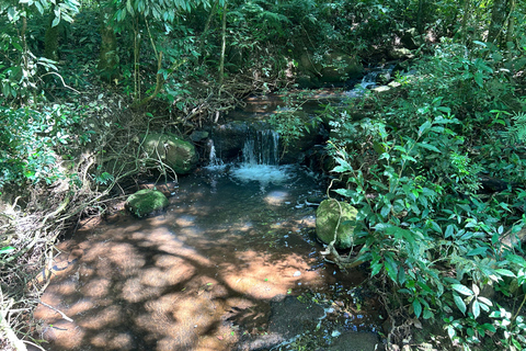 Essence of Iguazú: Full-Day Tour of Iguazú Falls (Brazil Side) and São João Trail Essence of Iguaçu: Full Day at Iguaçu Falls, Brazil, and São João Trail