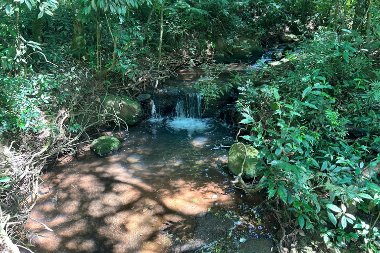 Essence of Iguazú: Full-Day Tour of Iguazú Falls (Brazil Side) and São João Trail Essence of Iguaçu: Full Day at Iguaçu Falls, Brazil, and São João Trail