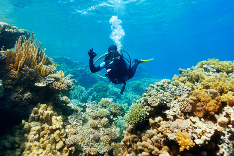 Aqaba : Experiencia de buceo con acceso a playa y piscina privadas