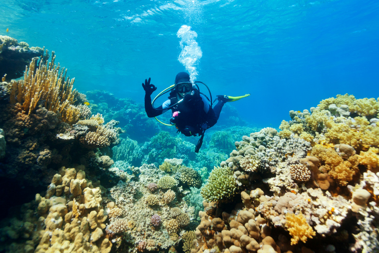 Aqaba: Taucherlebnis mit privatem Strand- und Poolzugang