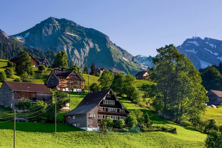 Från Zürich: Dagstur med buss till Heidiland och Liechtenstein