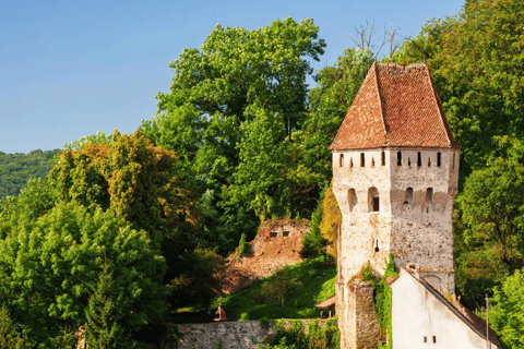 Da Bucarest: fortezze nascoste della Transilvania, tour di 1 giornoDa Bucarest: fortezze nascoste della Transilvania, gita di un giorno