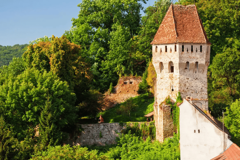 Da Bucarest: fortezze nascoste della Transilvania, tour di 1 giornoDa Bucarest: fortezze nascoste della Transilvania, gita di un giorno