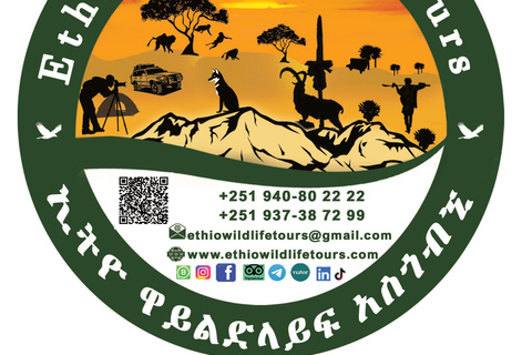 Etiopia Najlepsze 16-dniowe wycieczki, trekking w góry, wulkan, plemiona16 dni góry Simien, depresja Danakil, plemię Omo Vallely