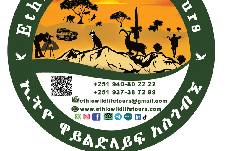 Etiopia Najlepsze 16-dniowe wycieczki, trekking w góry, wulkan, plemiona16 dni góry Simien, depresja Danakil, plemię Omo Vallely