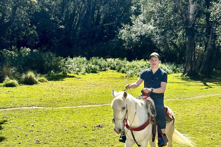 LA MEILLEURE ÉQUITATION AVEC DES COW-BOYS PROFESSIONNELS