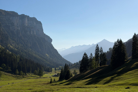 Interlaken: Red Deer Rut Tour with Sunset Fondue
