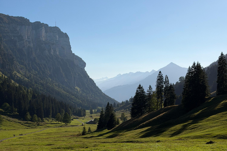 Interlaken: Red Deer Rut Tour with Sunset Fondue