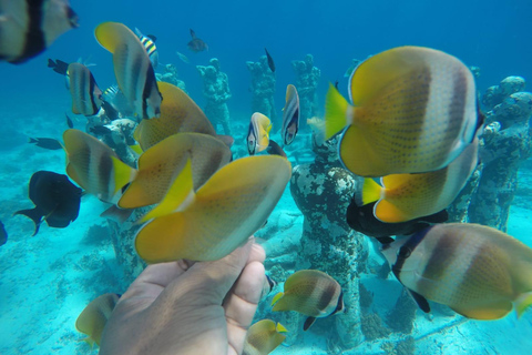 Private Snorkeling Tour GoPro Footage Costumize Tour Snorkeling Gili Trawangan, Gili Meno and Gili Air with GoPro