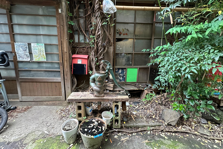 Tradycyjne stare miasto w Tokio - Yanaka, Nezu i Ueno SakuragiTokio : Stare tradycyjne miasto~Yanaka,Nezu&amp;Ueno Sakuragi