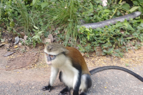 أكرا: جولة إرشادية لمدة 7 أيام للتعرف على التاريخ والتراث في غانا