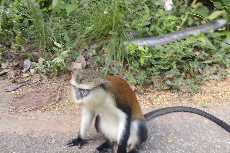 أكرا: جولة إرشادية لمدة 7 أيام للتعرف على التاريخ والتراث في غانا