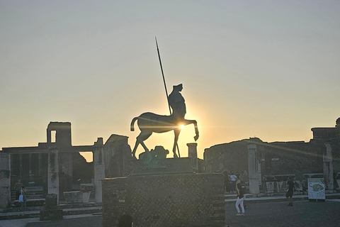 Guided group tour of Pompeii with an expert in archaeology.