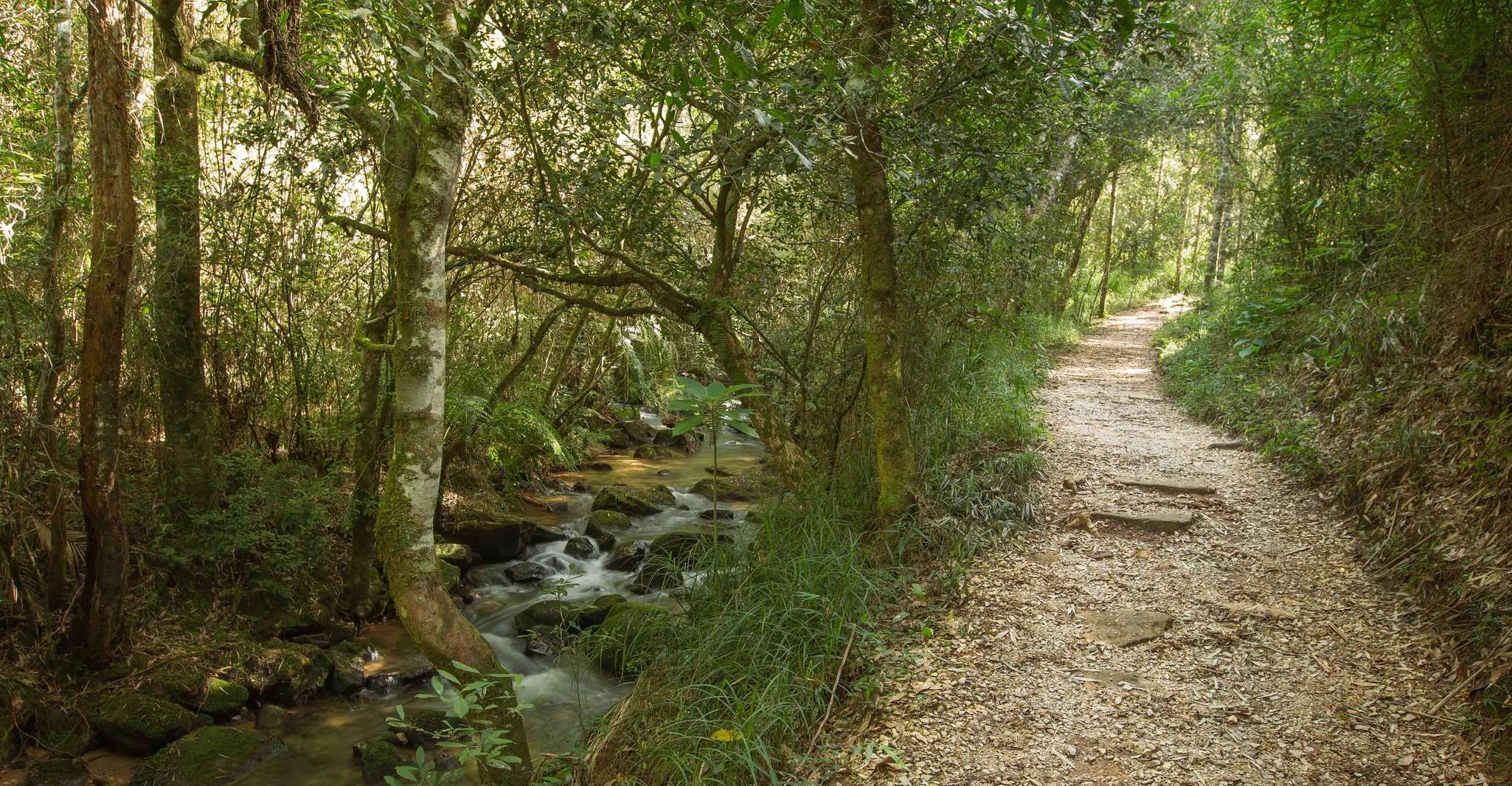 Pierre et nature, Vila Velha et Buraco do Padre, Paraná - Hizvo