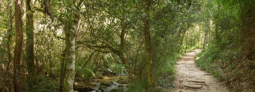 Pierre et nature : Vila Velha et Buraco do Padre, Paraná