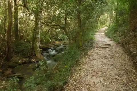 Pedra e natureza: Vila Velha e Buraco do Padre, Paraná