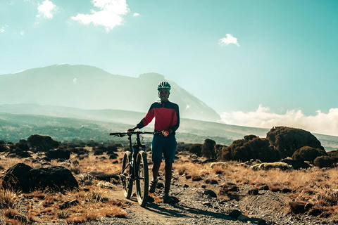 Kilimanjaro Tageswanderung zum Shira Plateau