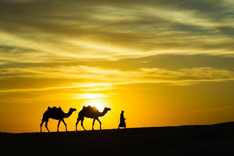 Marrakech: Agafay Desert Quad, Camel Ride & Dinner Fire Show