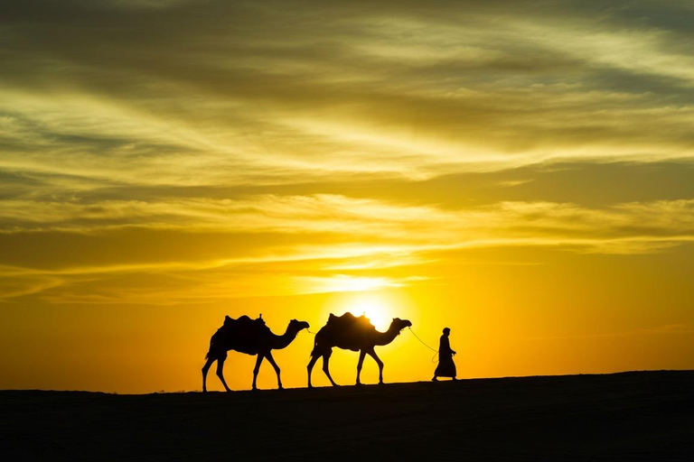 Marrakech: Agafay Desert Quad, Camel Ride & Dinner Fire Show