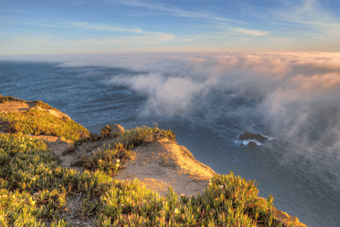 Lisboa: Sintra, Palácio da Pena, Cabo da Roca e Cascais - Excursão de um dia