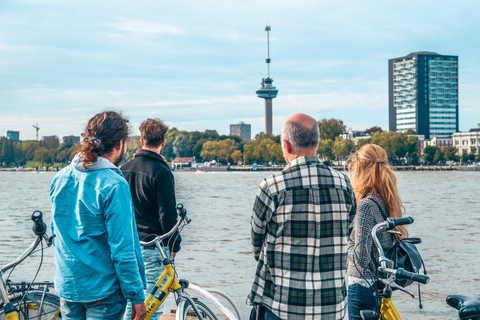 Rotterdam: Classic Highlight Bicycle Tour by Local