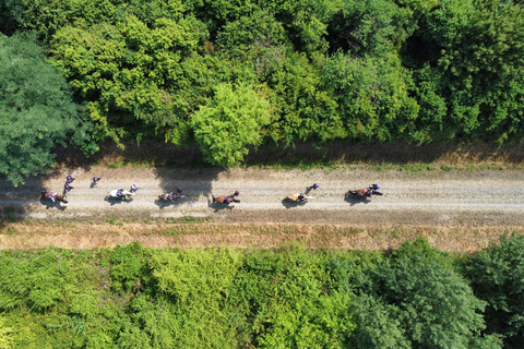 Westford: Western Trail Horse Riding with Private Option Public - Western Trail Horse Riding