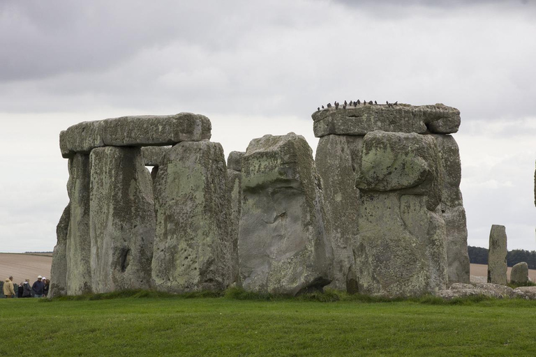 Windsor Stonehenge Bath visite privée de Londres avec laissez-passer